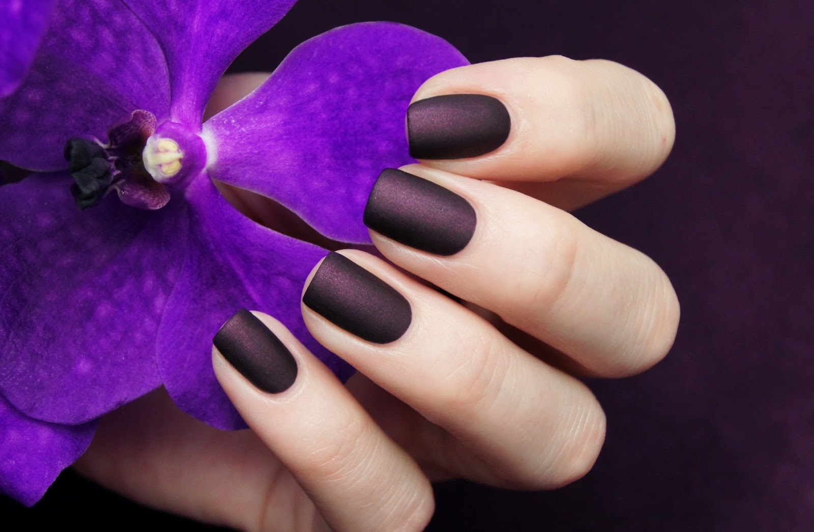 Matowy manicure: trendy mody, pomysły, aktualności (57 zdjęć)